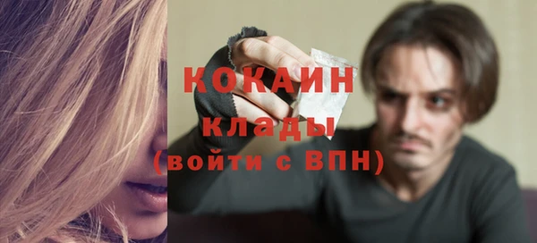 дживик Переславль-Залесский