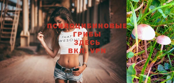 СК Балахна