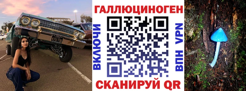 где найти   Куса  Галлюциногенные грибы GOLDEN TEACHER 